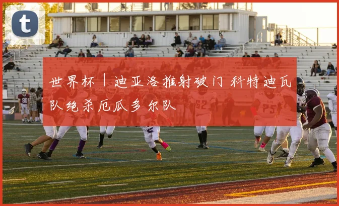 世界杯｜迪亚洛推射破门 科特迪瓦队绝杀厄瓜多尔队